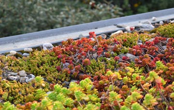the cost of Torran green roof installation