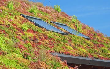 Torran living roof systems